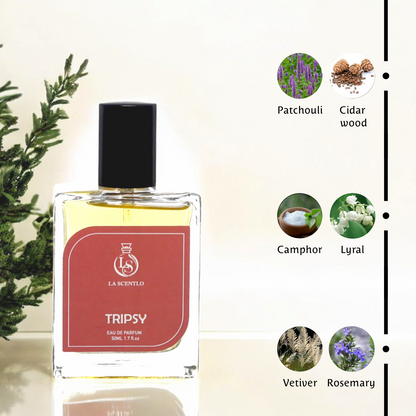 The Yin and Yang of Fragrance | Combo of 2 | Actor + Tripsy |